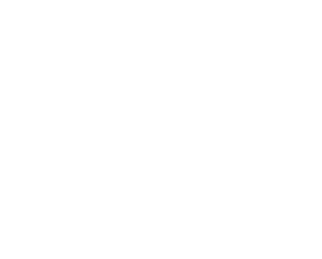 e-devlet-beyaz-logo